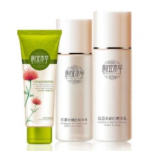 相宜本草红景天3件套(洁面膏100g+精华水120ml+精华乳120g)