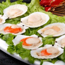 【宅鲜配】半壳扇贝 扇贝肉 1000g/新鲜扇贝冷冻烧烤海鲜